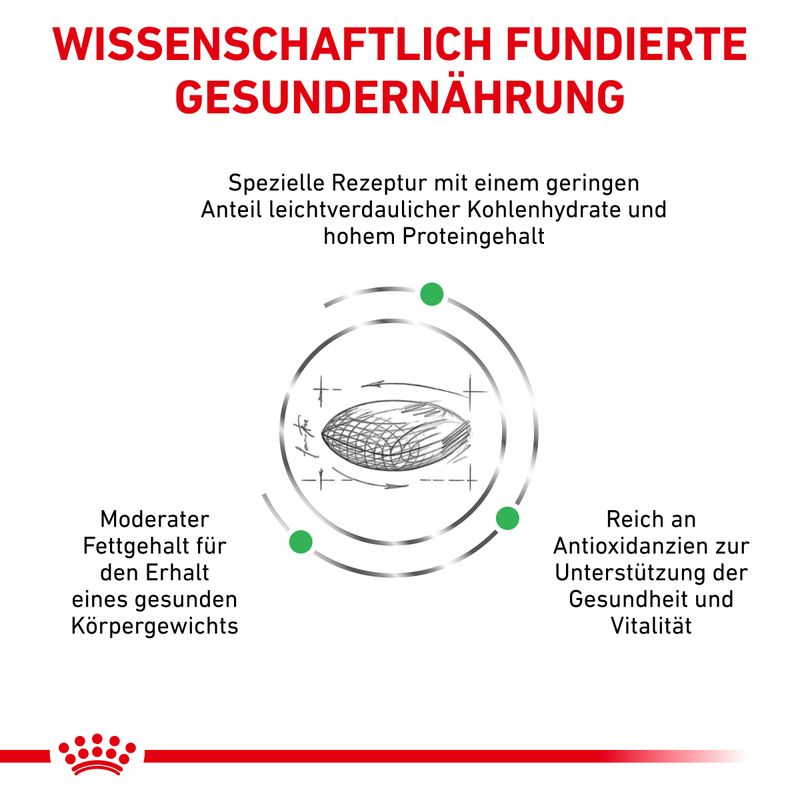 Royal Canin Veterinary Feline Diabetic zu TOP-Preisen | bitiba %