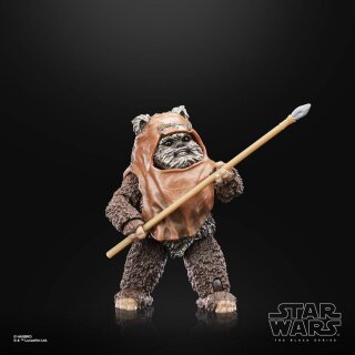 Star Wars Episode VI 40th Anniversary Black Series Actionfigur Wicket 15 cm
