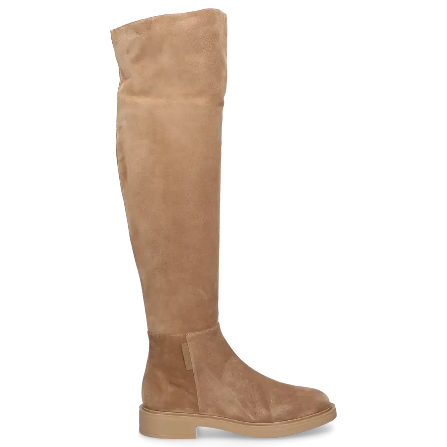 Gianvito Rossi - Overknees LEXINGTON beige - grau