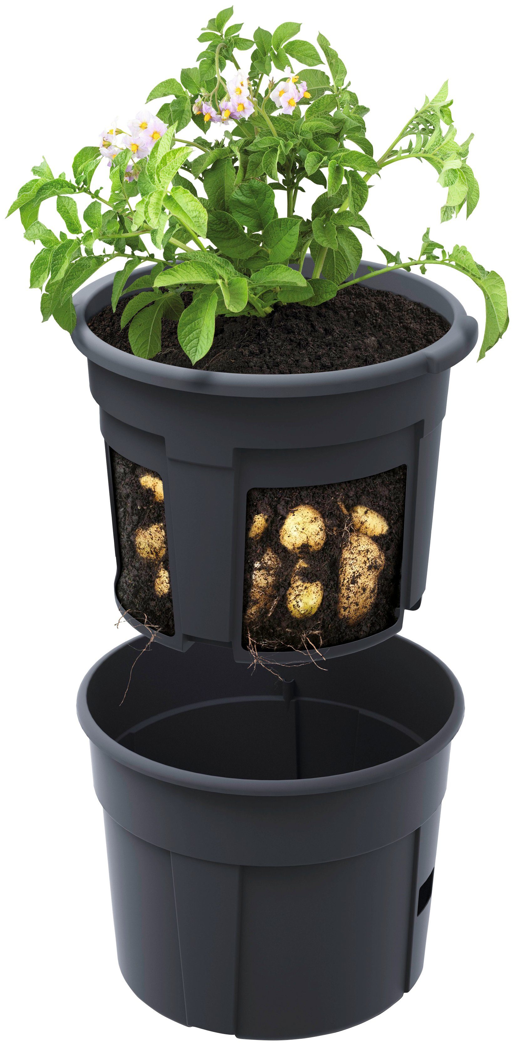 Prosperplast Anzuchttopf Potato Grower, ØxH: 29,5x23,6 cm, 2-teilig
