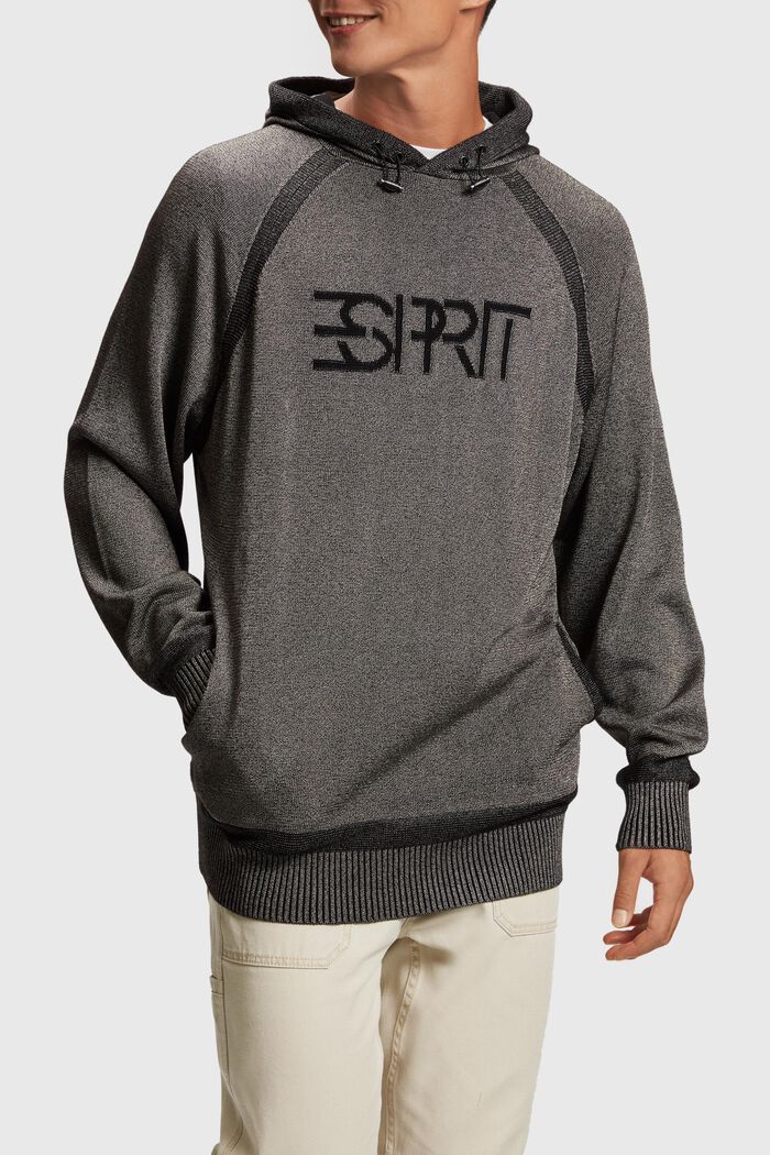 Logo-Hoodie