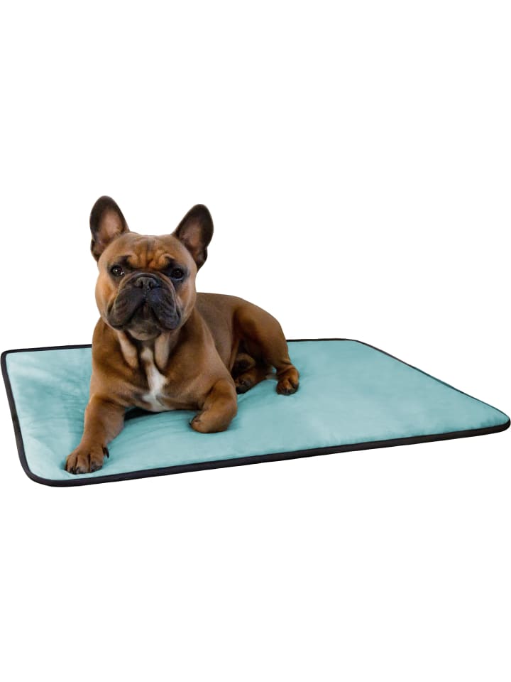 Aspero Hundedecke Lund in Blau günstig kaufen