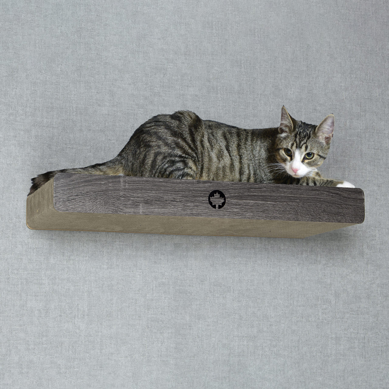 Canadian Cat Company Kratzbretter & Kratzpappen Canadian Cat Company 3er Set Kratzbrett Cloud für die Wand dunkelgrau