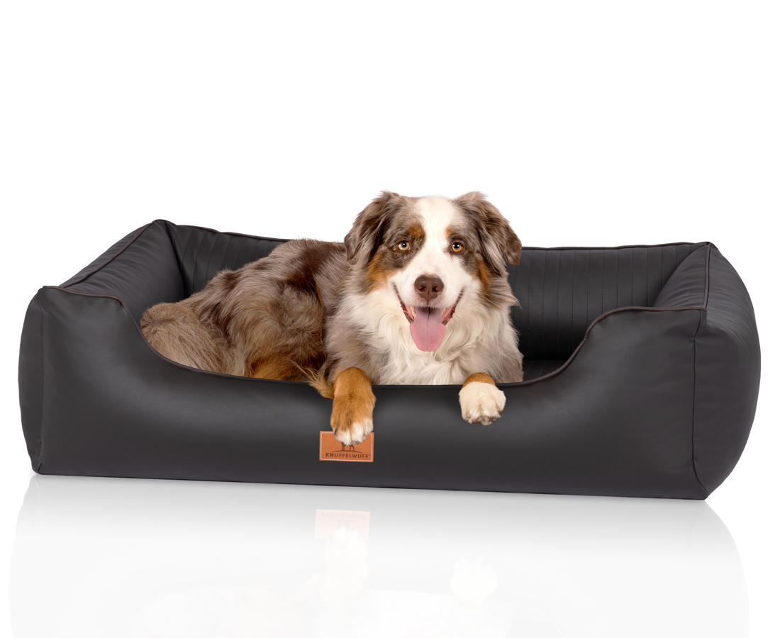 Knuffelwuff Hundebetten Knuffelwuff orthopädisches Hundebett aus Kunstleder Lovelock schwarz XL