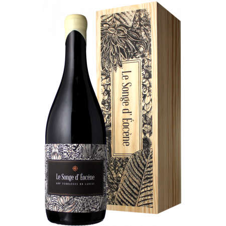 LE SONGE D'EOCENE 2017 EN ETUI - CHATEAU CAPION