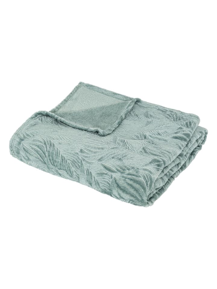 Atmosphera Créateur d'intérieur Kuscheldecke in blau günstig kaufen onesize