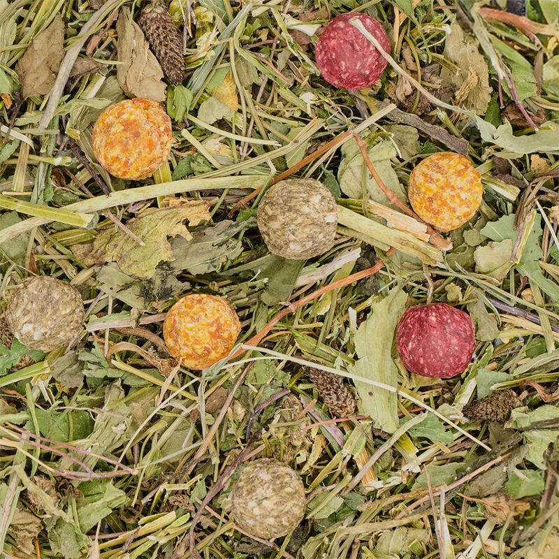 JR Farm Grainless Crunchy-Herbs Drops zu TOP-Preisen | bitiba %