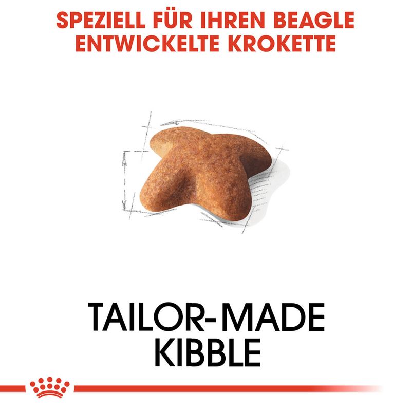 Royal Canin Beagle Adult zu TOP-Preisen