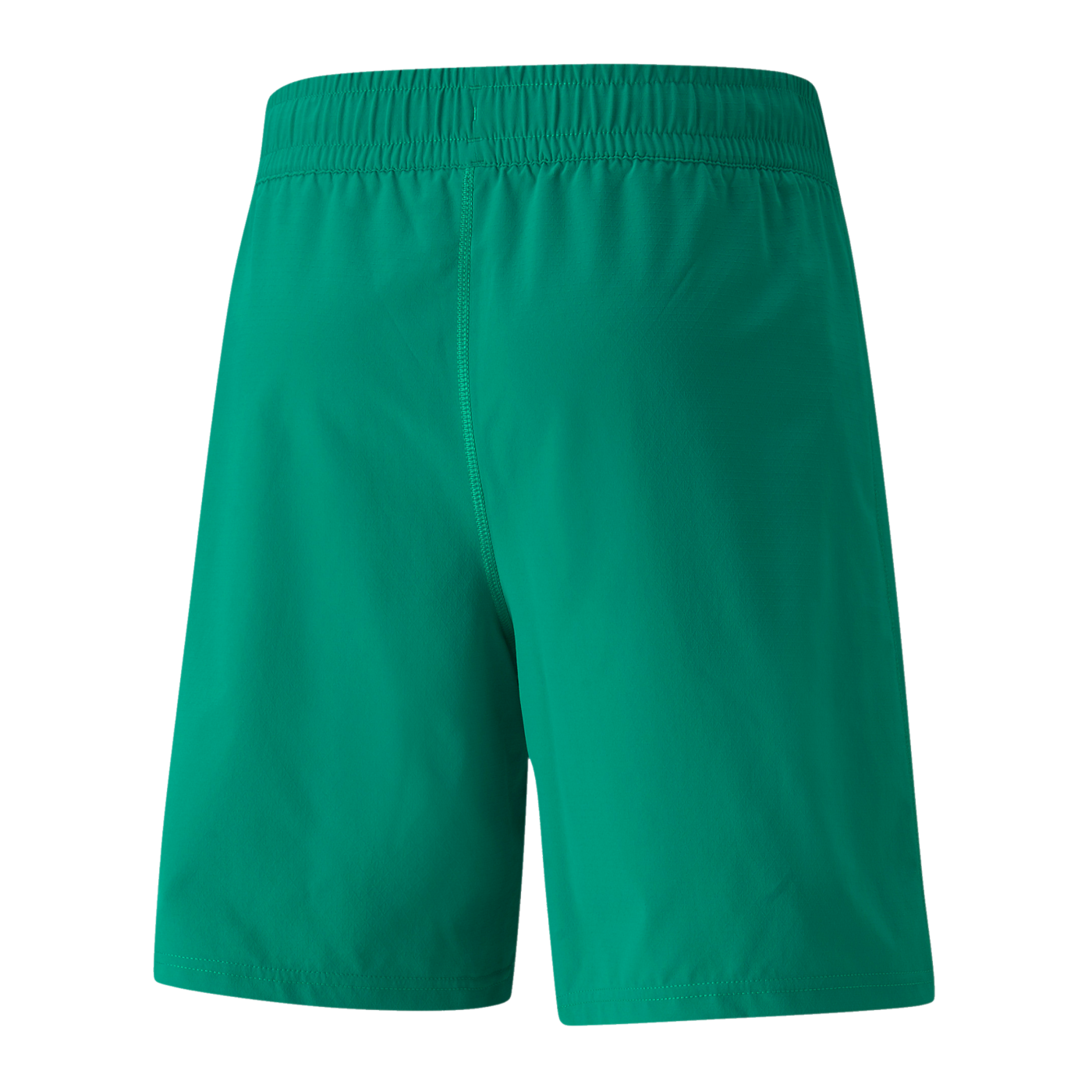 PUMA teamFINAL Short Grün F05