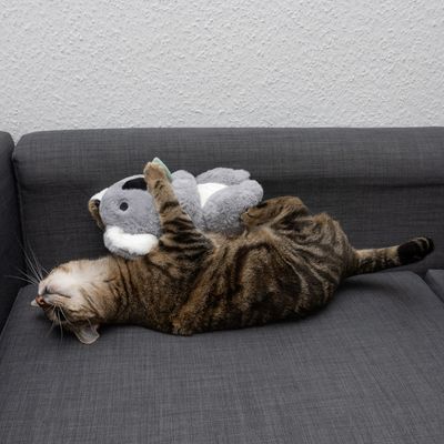 Katzenspielzeug Kiki