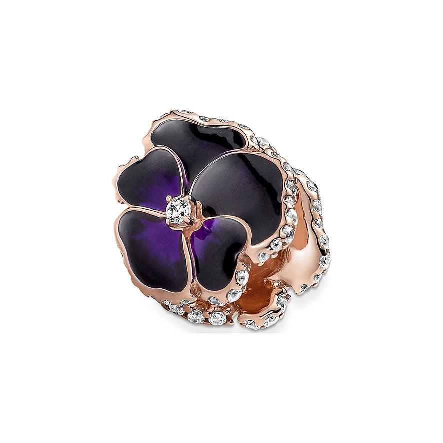 Pandora Charm Moments