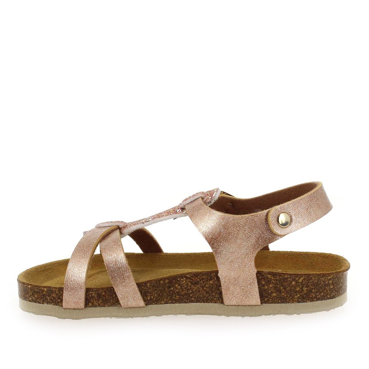 Plakton   CROSS - Rose multi