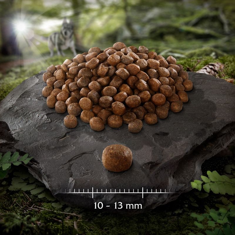 Wolf of Wilderness 'RAW TASTE' MINI Kroketten