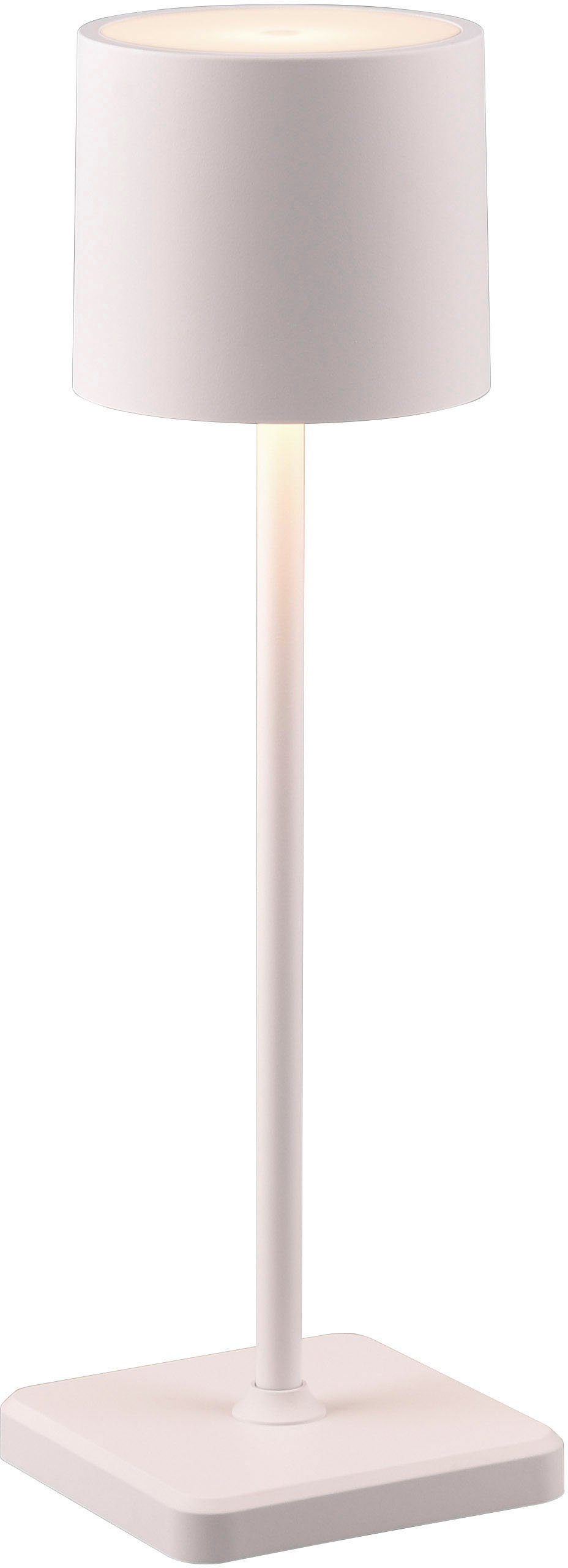 TRIO Leuchten LED Außen-Tischleuchte Fernandez, Dimmfunktion, USB-Ladefunktion, LED fest integriert, Farbwechsler, warmweiß - kaltweiß, Garten Akku Tischlampe USB Ladestation dimmbar Lichtfarbe einstellbar