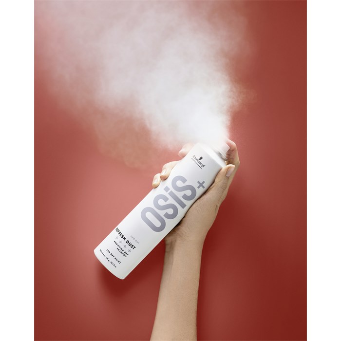 Refresh Dust Bodifying Dry Shampoo