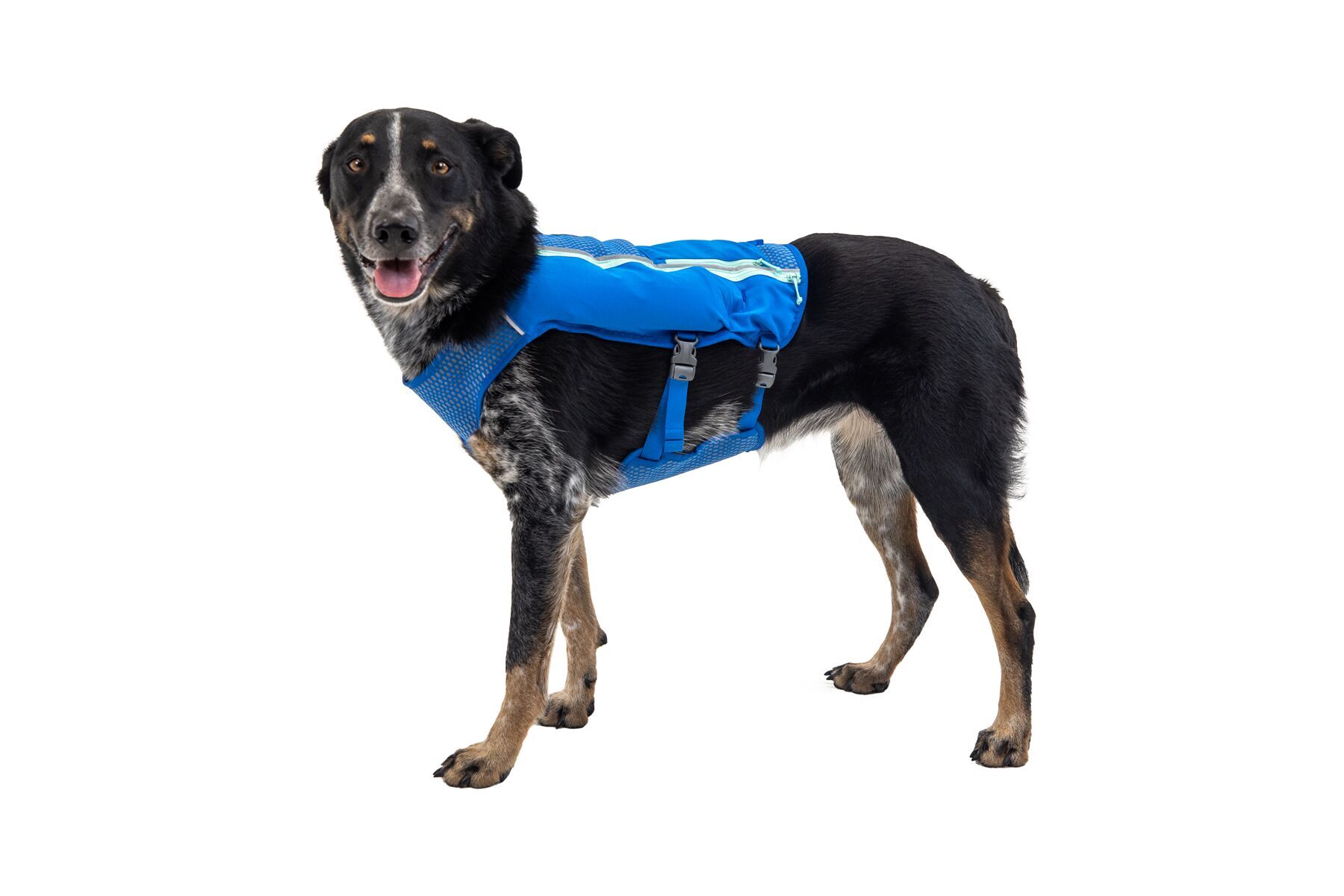 Ruffwear Hundewesten Ruffwear Trail Runner™ Weste blau XS