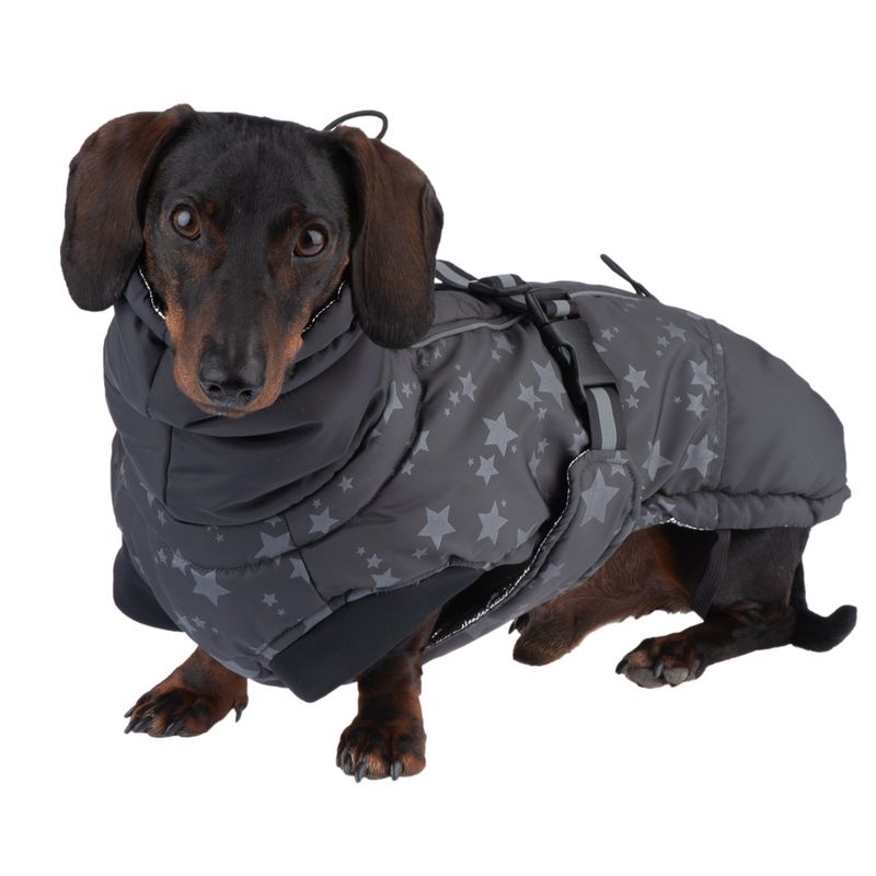 Hundemantel Reflecting Stars zu TOP-Preisen