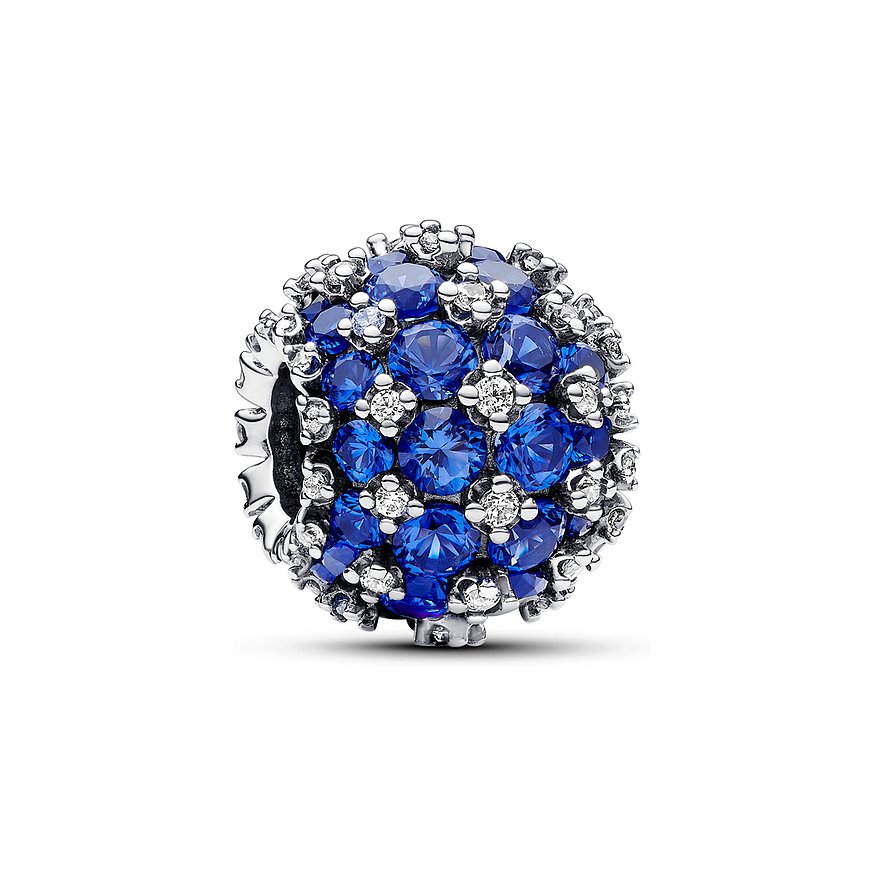 Pandora Charm Moments