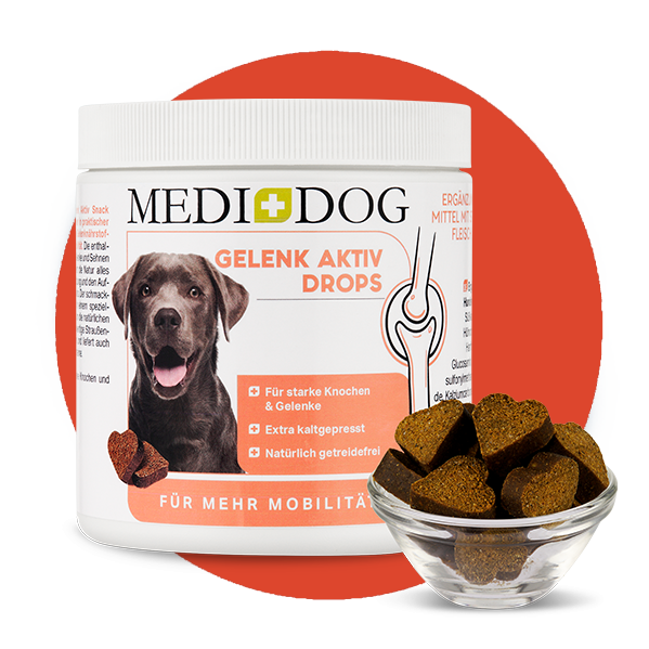 MediDog Ergänzungsfutter & Aufzucht MediDog Gelenk Aktiv Drops