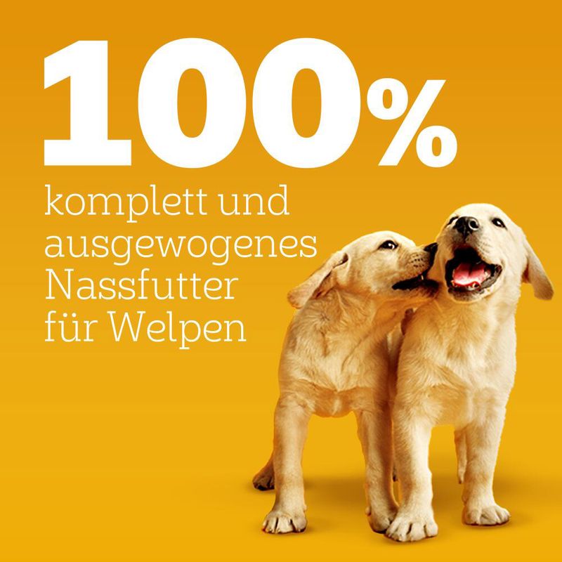 Pedigree Junior Frischebeutel Multipack