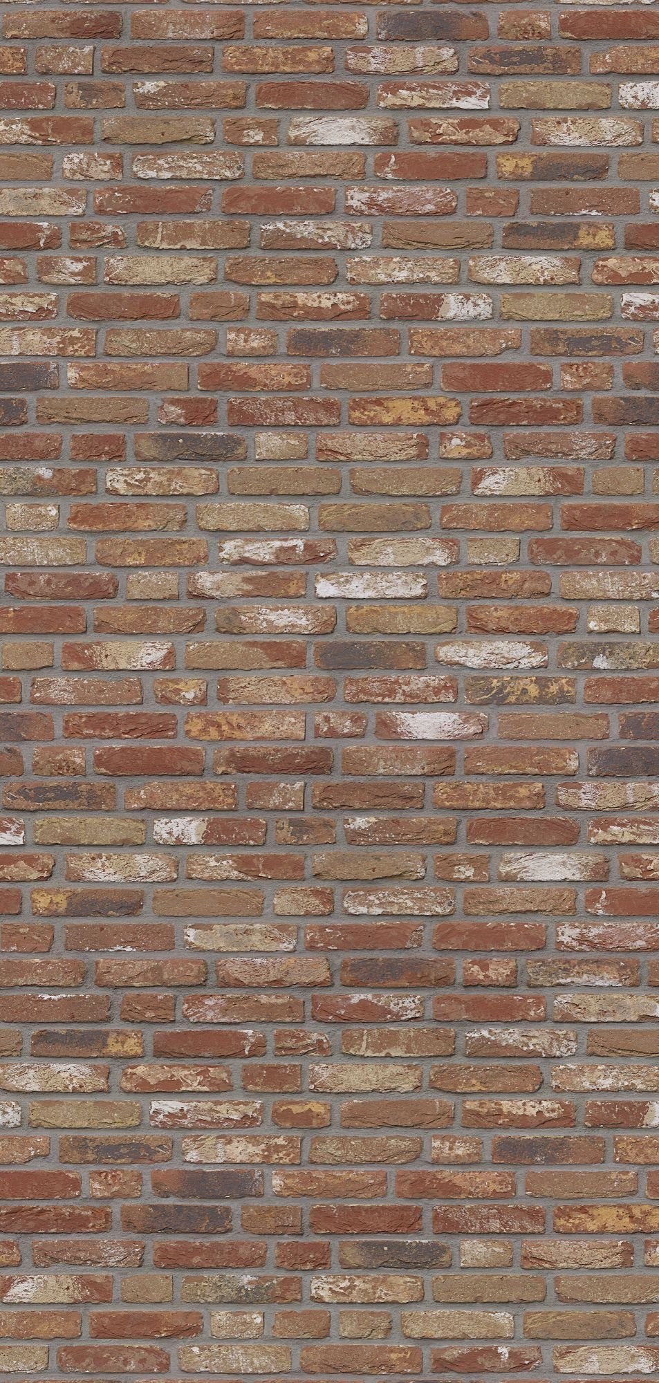 Schulte Badrückwand DecoDesign Dekor Klinker, (1-tlg), Wandverkleidung, fugenloser Fliesenersatz, Duschrückwand
