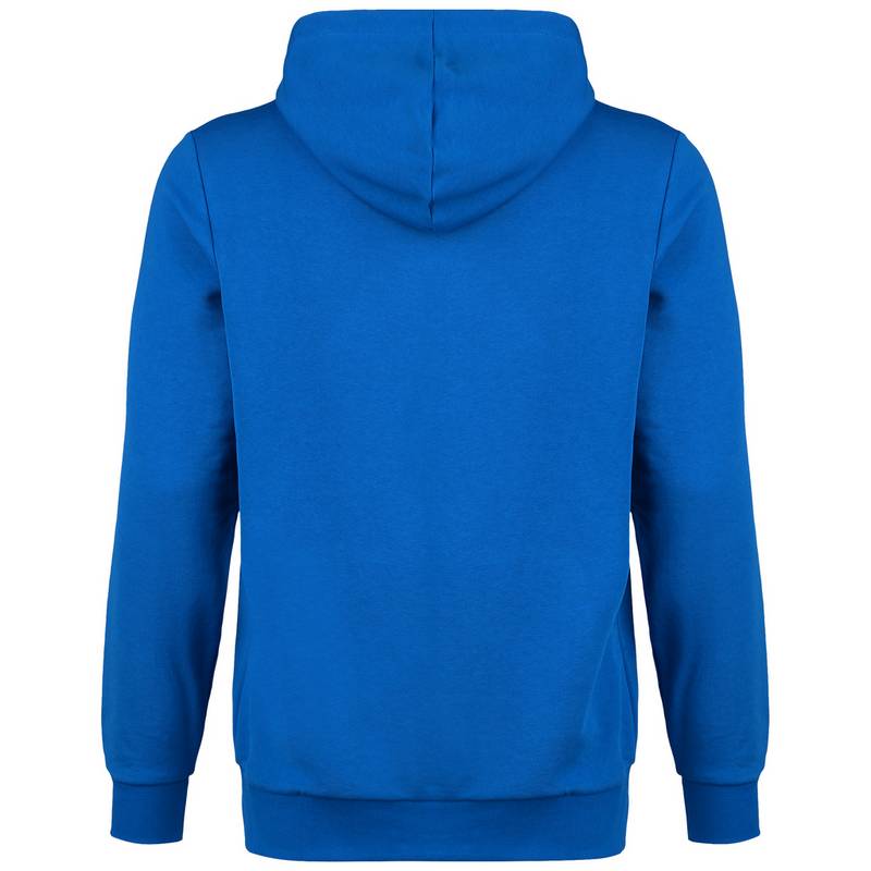 PUMA TeamGoal 23 Casuals Hoodie Herren