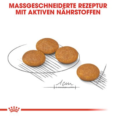 Royal Canin Mini Dermacomfort