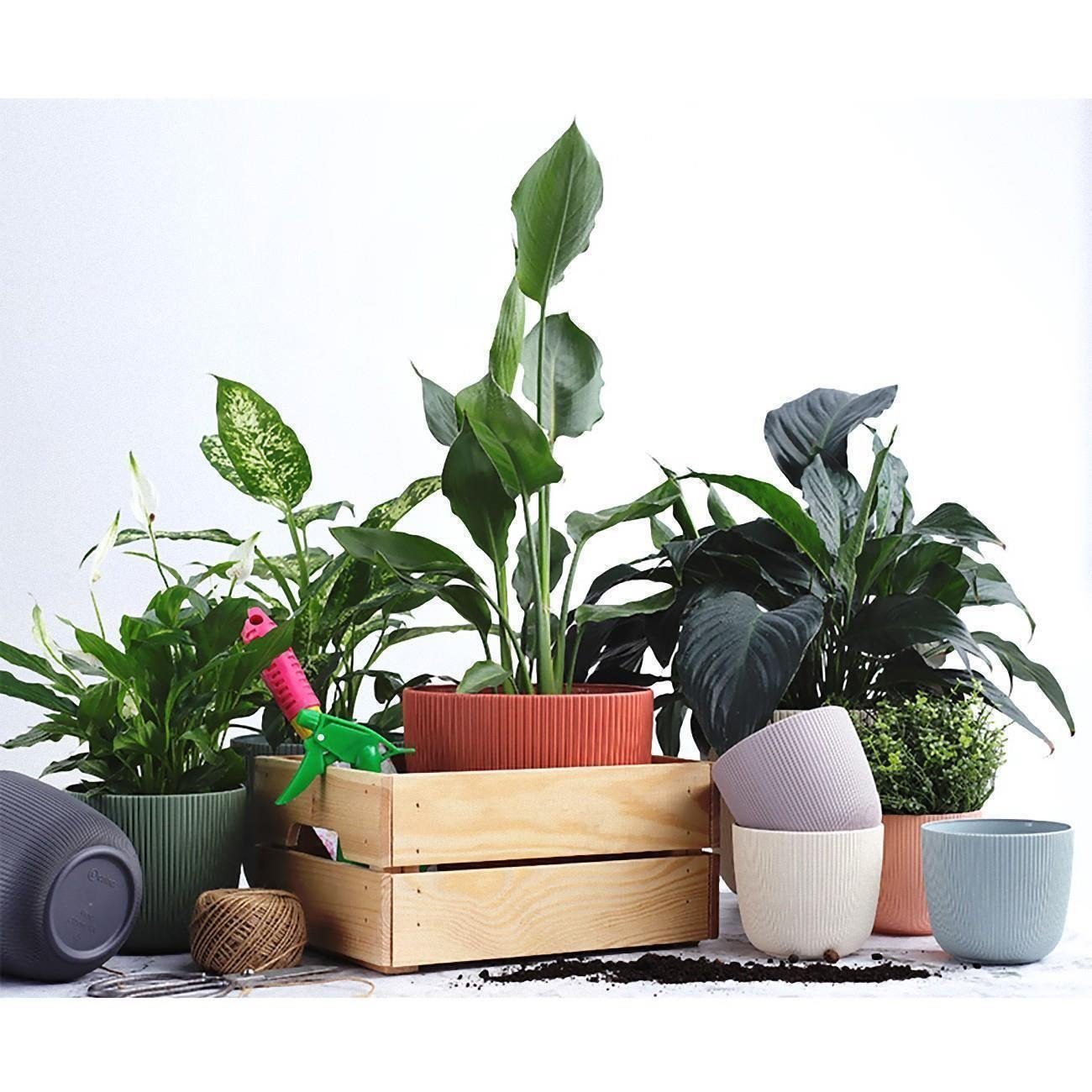 Engelland Blumentopf Pflanztopf mit Drainagesystem (Vorteils-Set, 1 St., robuster PP-Kunststoff), Rillenoptik, UV-resistent, Drainagesystem, direkte Bepflanzung