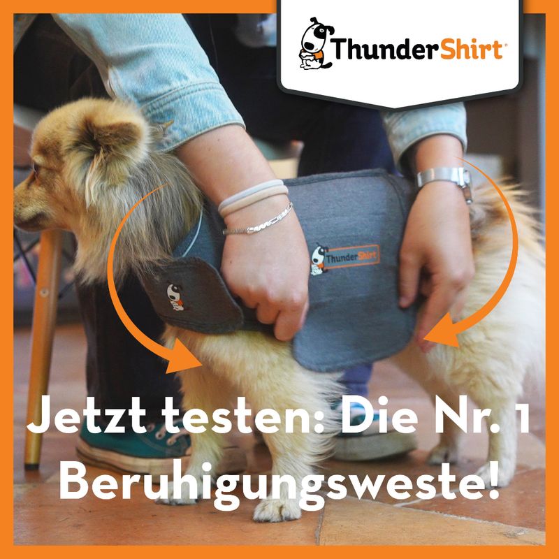 ThunderShirt Beruhigungsweste, grau zu TOP-Preisen