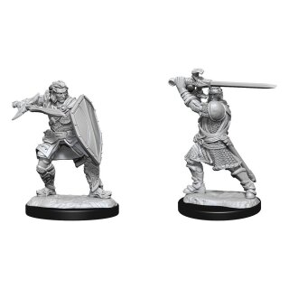 D&D Nolzur's Marvelous Miniatures - Human Paladin Male