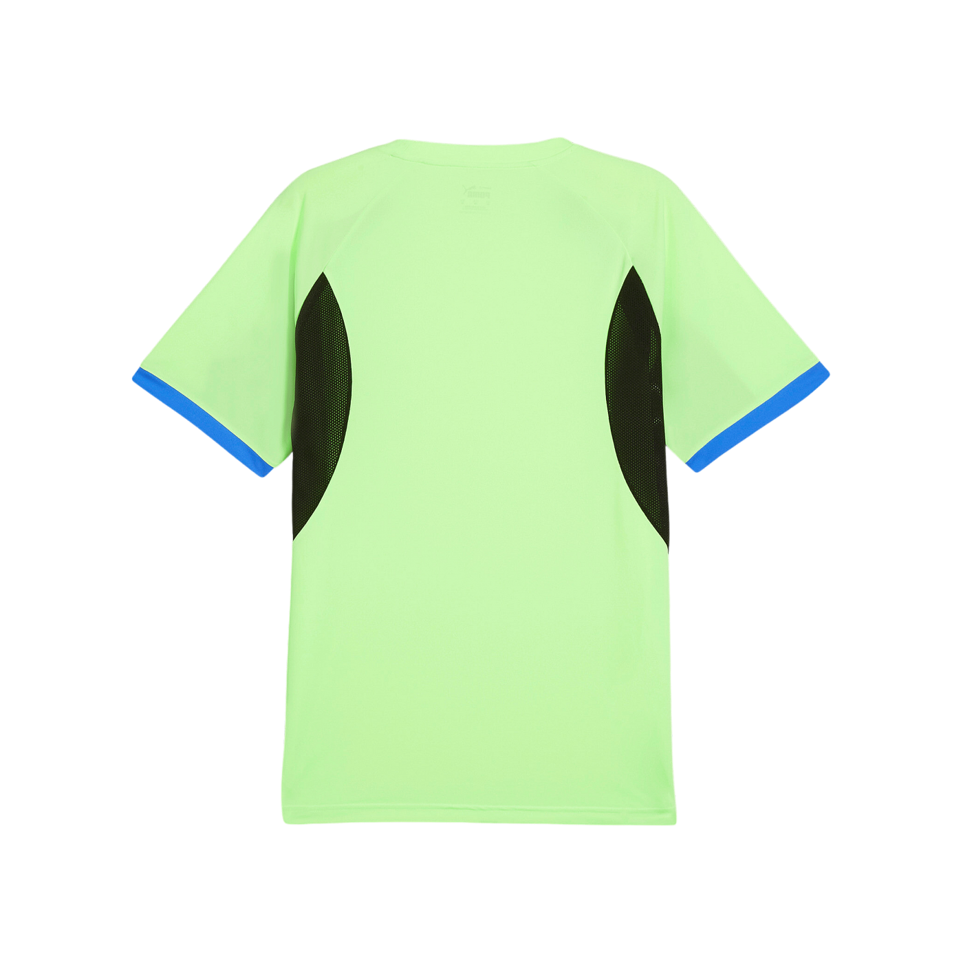 PUMA IndividualLiga Trikot Grün F02