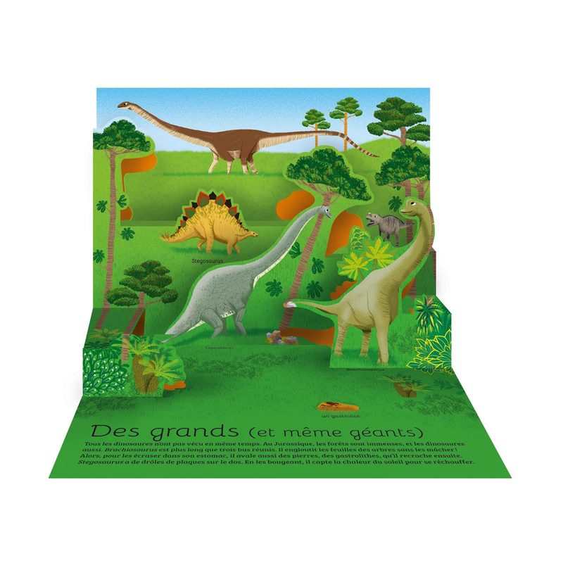 Livre Le monde des dinosaures en relief - Tourbillon