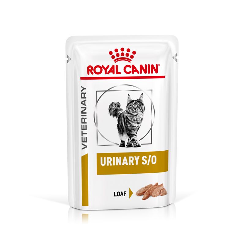 Royal Canin Veterinary Feline Urinary S/O zu TOP-Preisen | bitiba