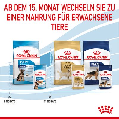 Royal Canin Maxi Puppy in Soße
