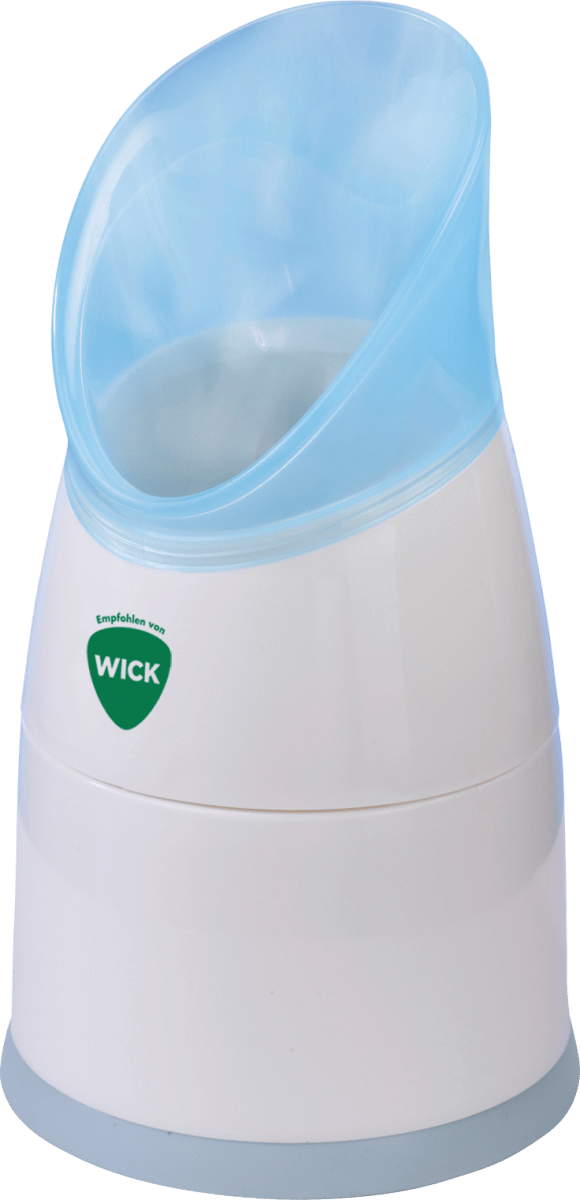 Dampf Inhalator, 1 St