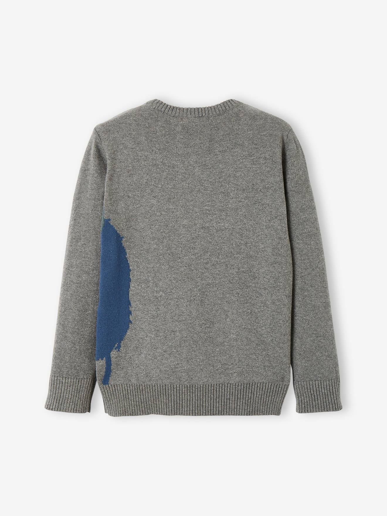 Vertbaudet Jungen Pullover, T-Rex Oeko-Tex - marine