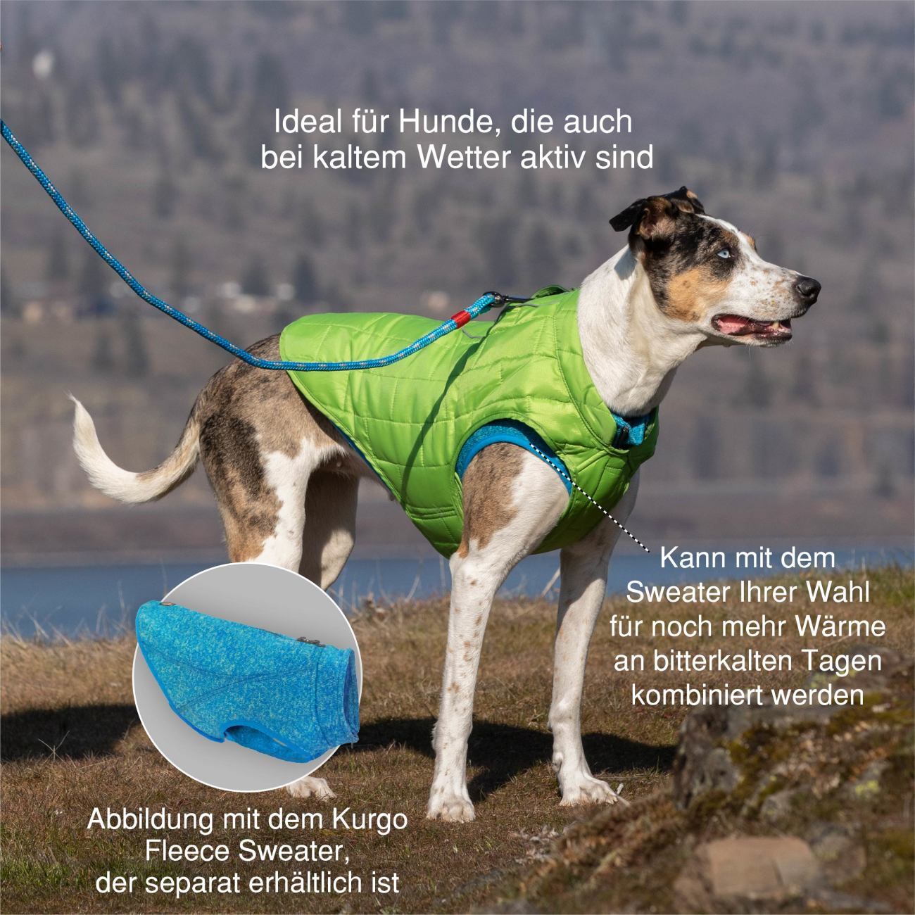 Kurgo Hundemäntel Kurgo Loft Hundejacke orange XS
