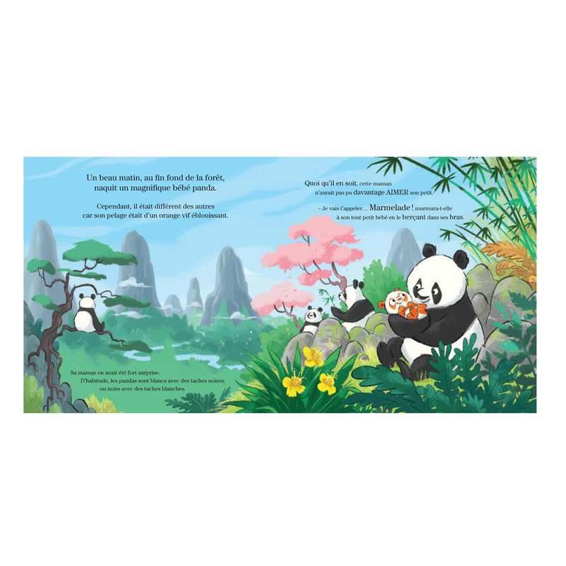 Livre Marmelade, un drôle de petit panda - Albin Michel jeunesse