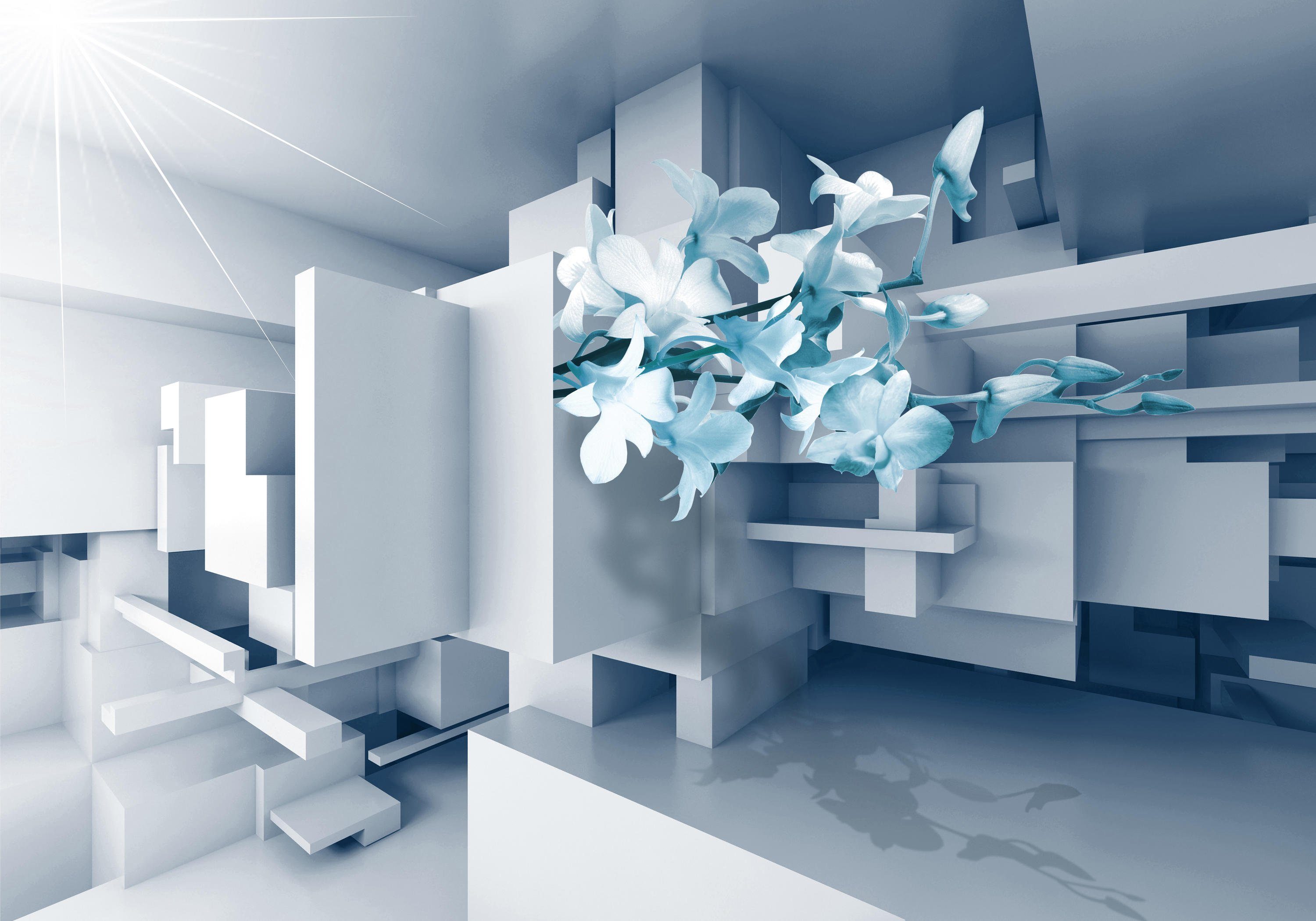 wandmotiv24 Fototapete Orchidee 3D Blau, glatt, Wandtapete, Motivtapete, matt, Vliestapete