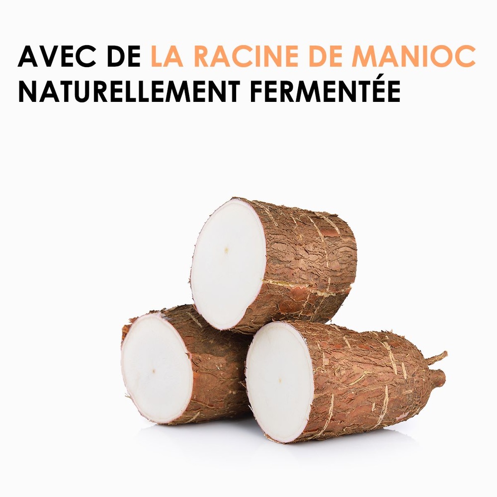 wedo WEDO/ Professional Shampoing Riche & Réparateur 1000ml Shampoing