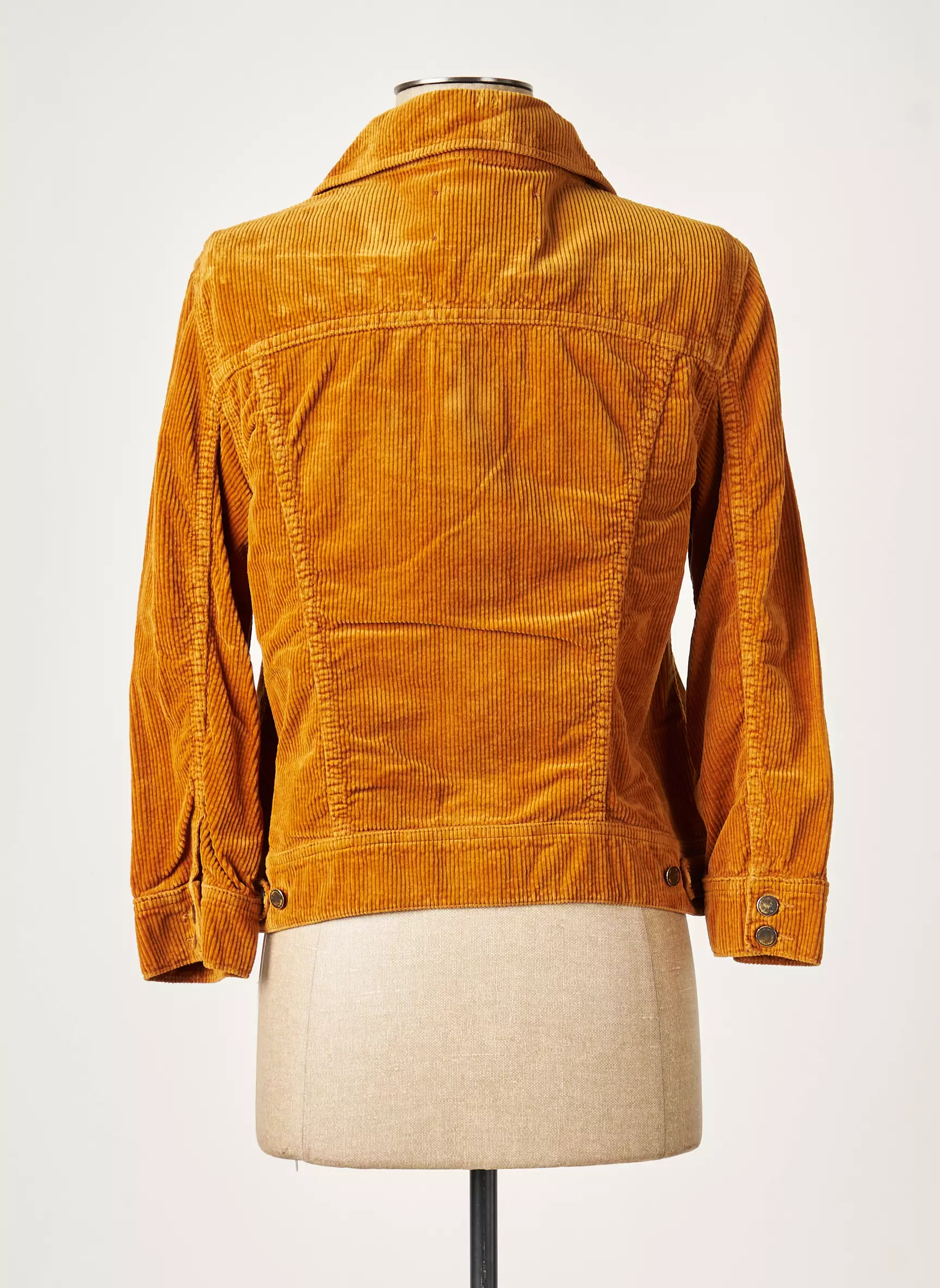 Acquaverde Vestecasual Femme couleur marron