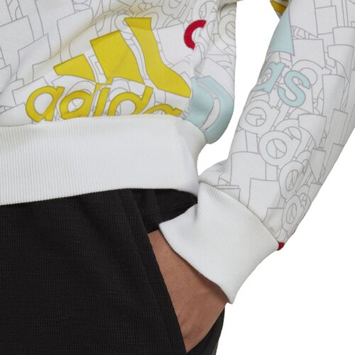 DAMEN SWEATSHIRT W BLUV Q3 SWT G