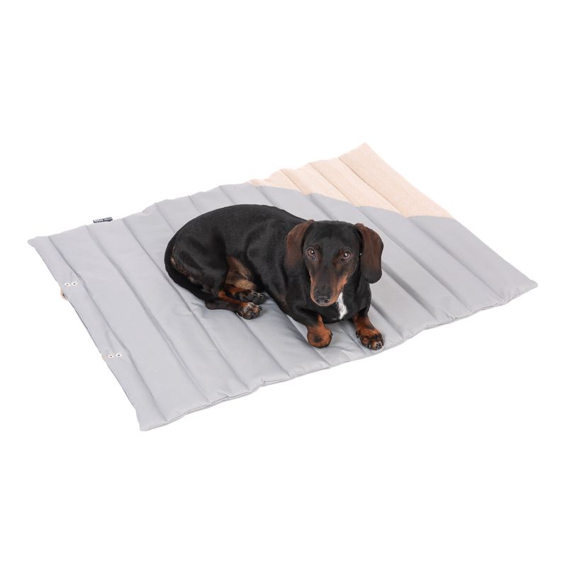 Nomad Tales Reise-Hundematte Stone zu TOP-Preisen