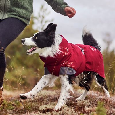 Hurtta Bare Winterjacke Late Harvest