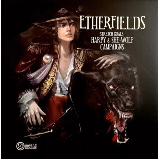 Etherfields - Stretch Goals: Kampagne 