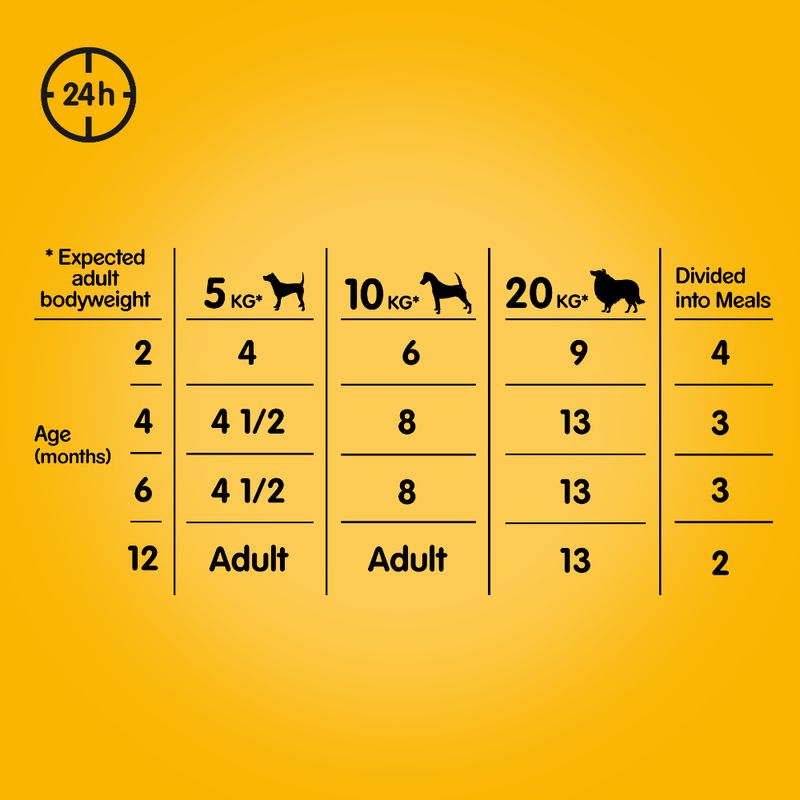 Pedigree Junior Frischebeutel Multipack