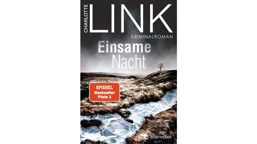 Einsame Nacht