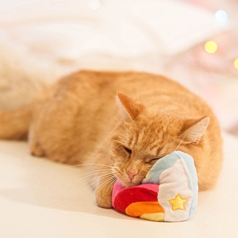 Aumüller Katzenspielzeug Regenbogenherz zu TOP-Preisen