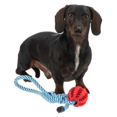 Hundespielzeug Marina
