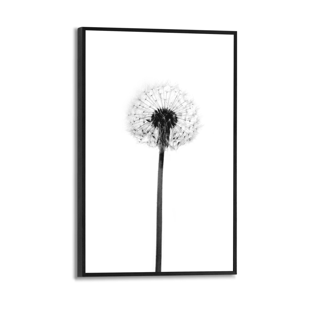 Rahmenbild Pusteblume